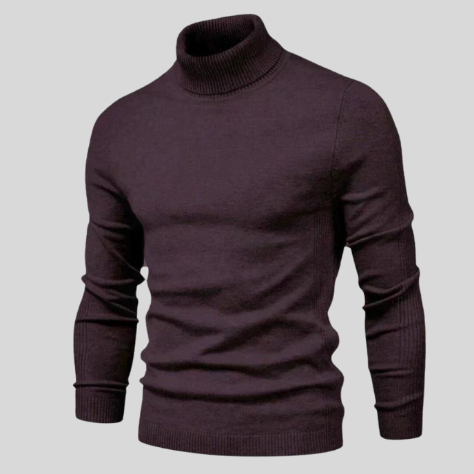 Alois | Gemütlicher Rollkragenpullover